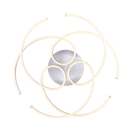 Paul Neuhaus 8165-55 - LED Dimbar Takbelysning DANILO 3xLED/12W/230V
