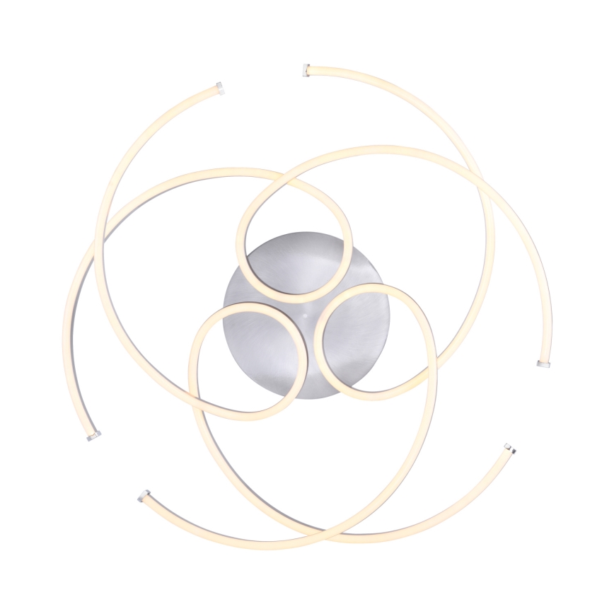 Paul Neuhaus 8165-55 - LED Dimbar Takbelysning DANILO 3xLED/12W/230V