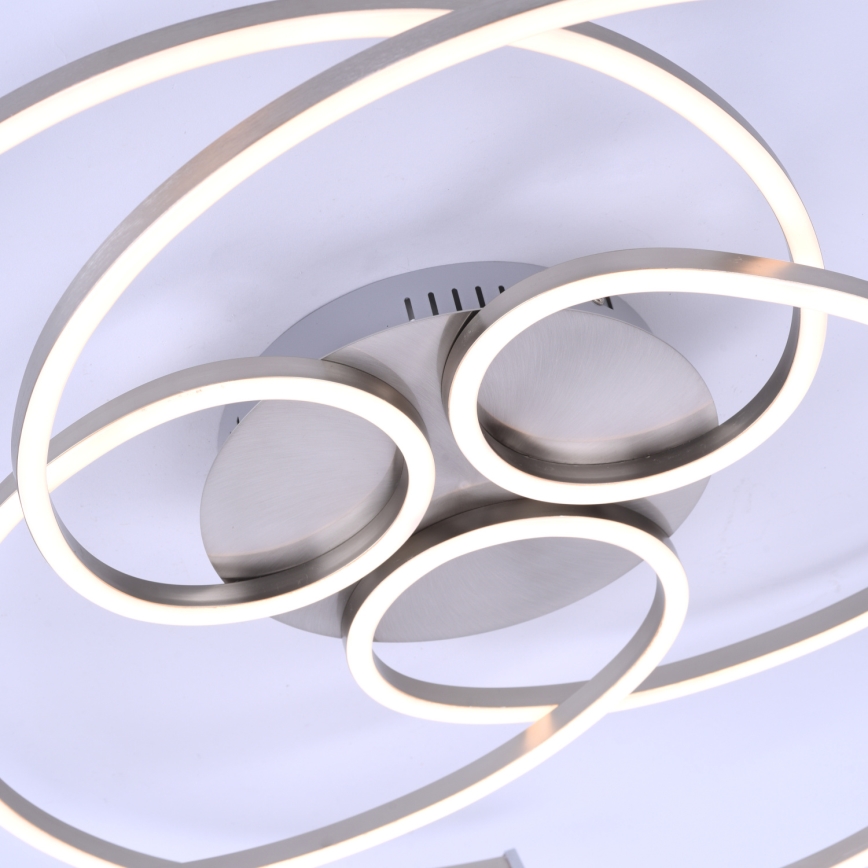 Paul Neuhaus 8165-55 - LED Dimbar Takbelysning DANILO 3xLED/12W/230V