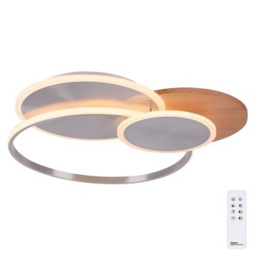 Paul Neuhaus 8328-79 - LED Dimbar taklampa PALMA LED/50W/230V 2700-5000K tall + fjärrkontroll