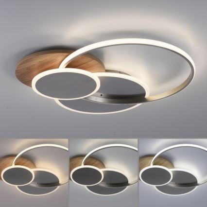 Paul Neuhaus 8328-79 - LED Dimbar taklampa PALMA LED/50W/230V 2700-5000K tall + fjärrkontroll