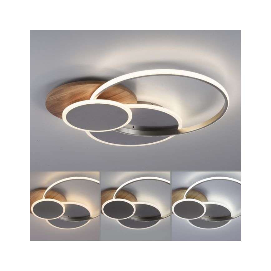 Paul Neuhaus 8328-79 - LED Dimbar taklampa PALMA LED/50W/230V 2700-5000K tall + fjärrkontroll