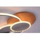 Paul Neuhaus 8328-79 - LED Dimbar taklampa PALMA LED/50W/230V 2700-5000K tall + fjärrkontroll