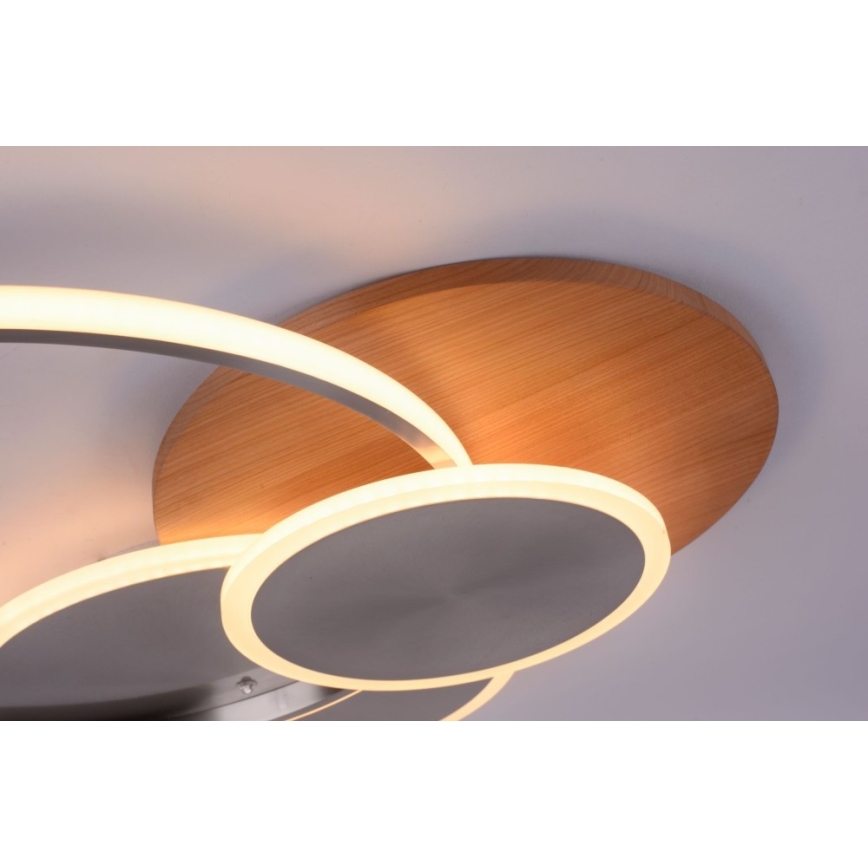 Paul Neuhaus 8328-79 - LED Dimbar taklampa PALMA LED/50W/230V 2700-5000K tall + fjärrkontroll