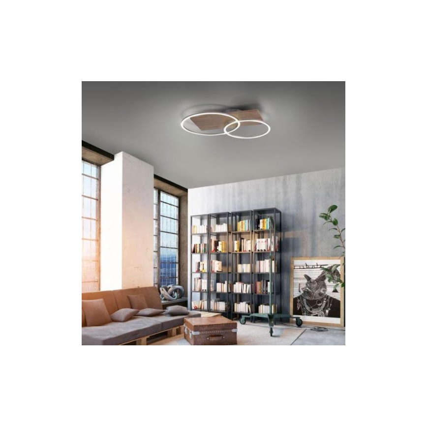 Paul Neuhaus 8329-79 - Dimbar LED ytmonterad ljuskrona PALMA LED/26W/230V 2700-5000K tall + fjärrkontroll