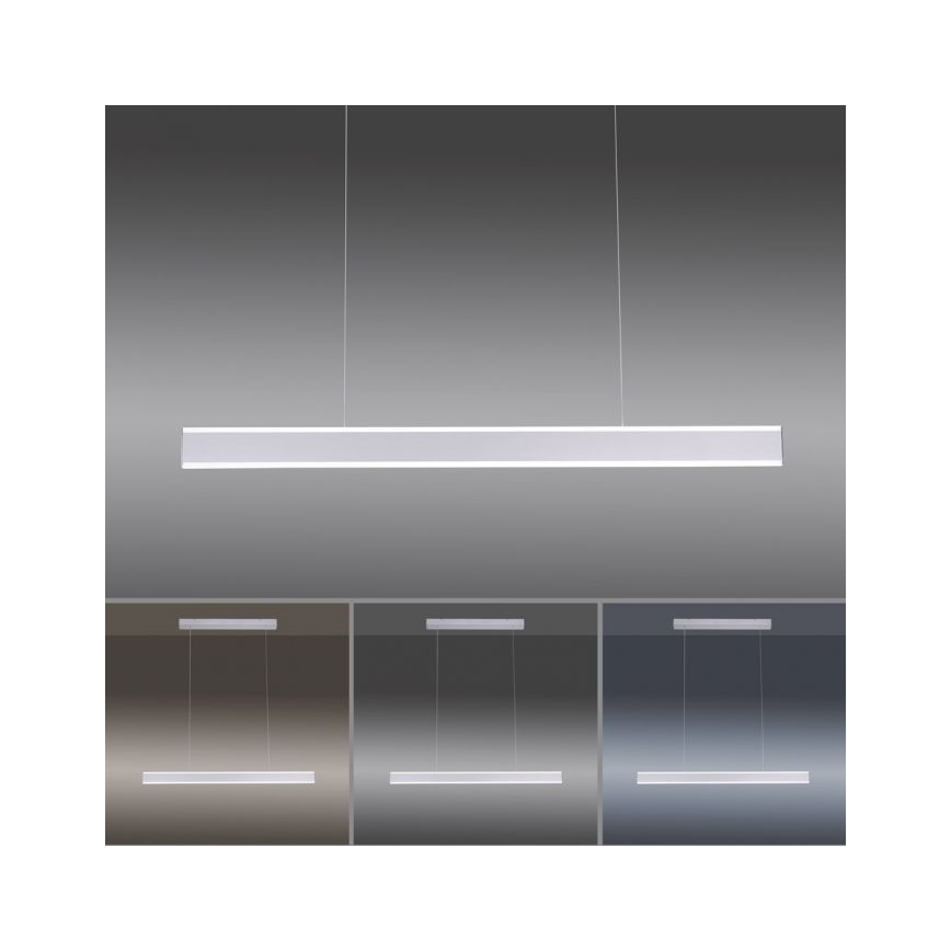 Paul Neuhaus 8363-55 - Dimbar LED-lampakrona med snöre ARINA LED/20W/230V