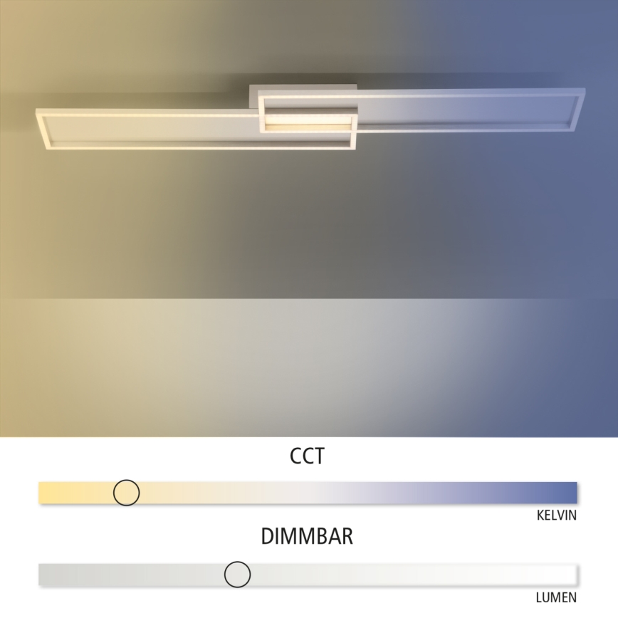 Paul Neuhaus 8371-55 - LED Dimbar Takbelysning AMARA LED/40W/230V + Fjärrstyrd