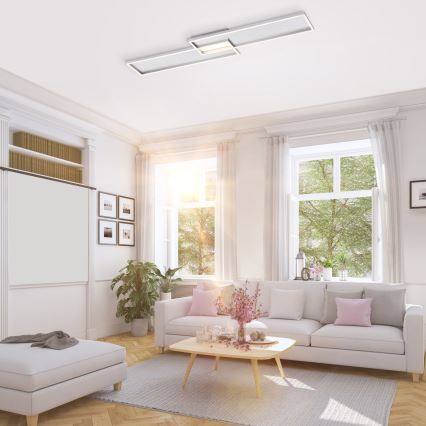 Paul Neuhaus 8371-55 - LED Dimbar Takbelysning AMARA LED/40W/230V + Fjärrstyrd