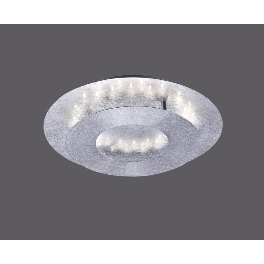 Paul Neuhaus 9011-21 - LED taklampa NEVIS LED/6W/230V silver