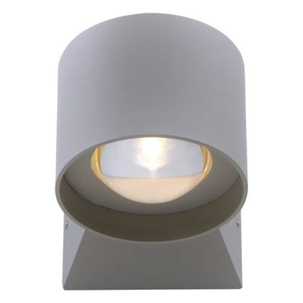 Paul Neuhaus 9441-21 - Utomhus LED vägglampa  TIMO 2xLED/2W/230V IP54