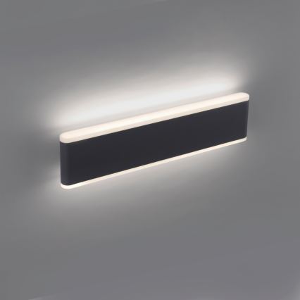 Paul Neuhaus 9484-13 - LED ljusreglerad utomhus vägglampa  ELSA 2xLED/9W/230V IP65