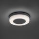 Paul Neuhaus 9490-13 - Utomhus LED lampa  FABIAN LED/12,6W/230V IP54
