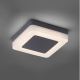Paul Neuhaus 9491-13 - Utomhus LED lampa  FABIAN LED/12,6W/230V IP54