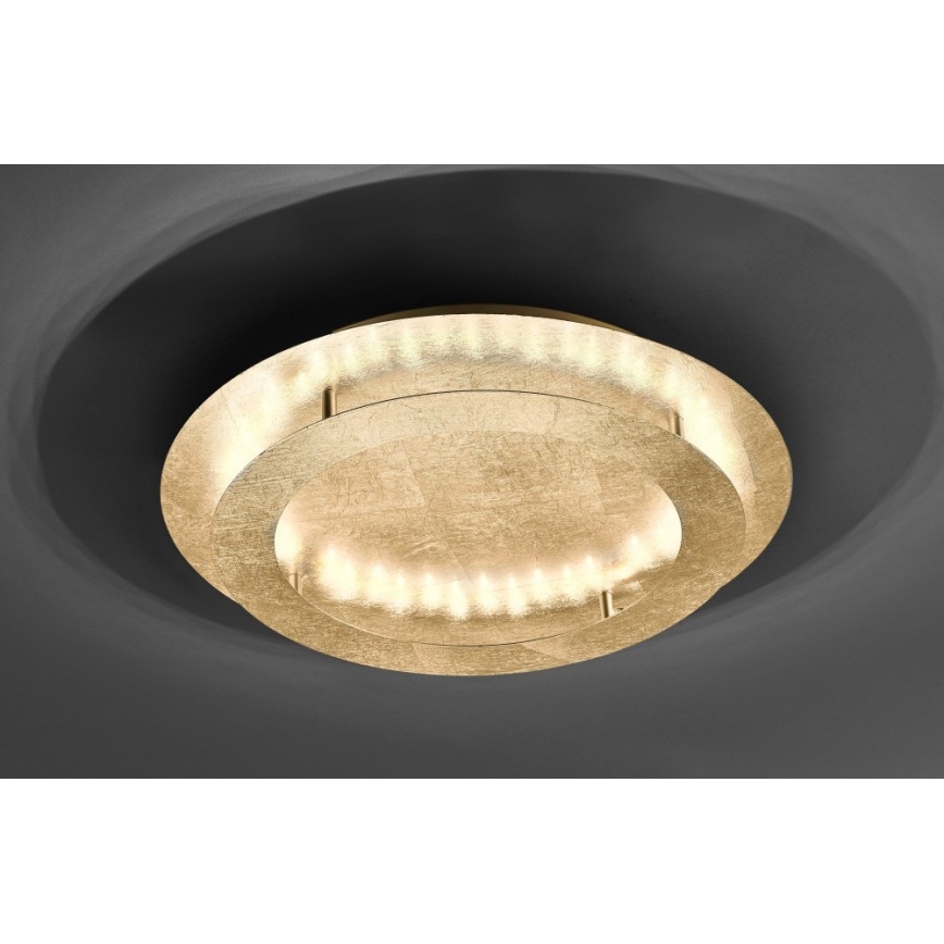 Paul Neuhaus 9621-12 - LED taklampa NEVIS LED/24W/230V