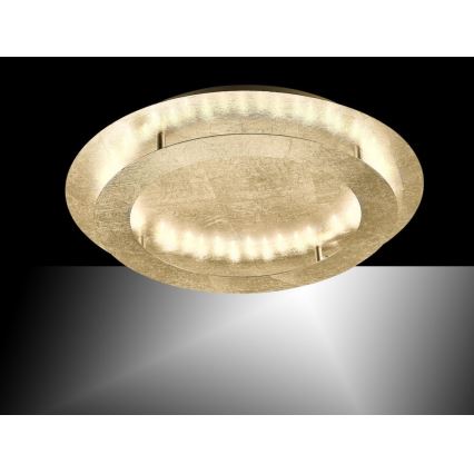 Paul Neuhaus 9621-12 - LED taklampa NEVIS LED/24W/230V