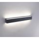Paul Neuhaus 9676-13-Utomhus LED vägglampa  ROBERT 2xLED/18,5W/230V IP65