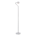 Paulmann 70920 - LED/7,5W Dimbar golvlampa RAMOS 230V vit/blank krom