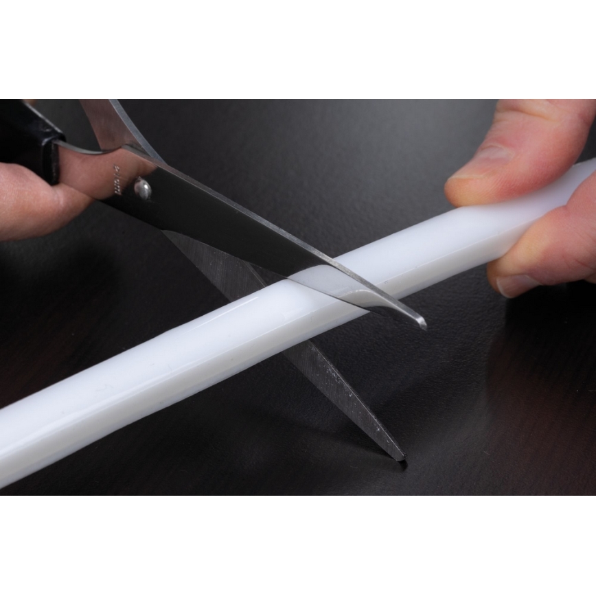 Paulmann 70966 - LED-RGB/27W IP67 Utomhus dimbar ljusslinga FLOW 3m 230/24V