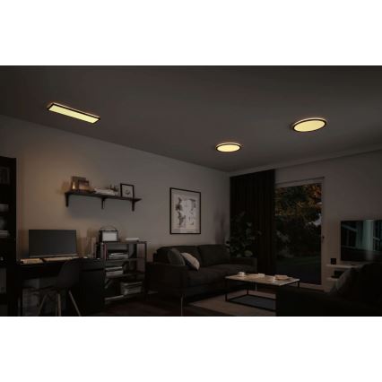 Paulmann 71003 - LED/22W Ljusreglerad panel ATRIA 230V 3000K 20x58 cm svart