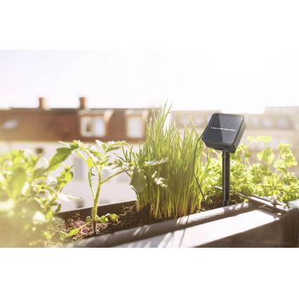 Paulmann 78896 - LED/0,3W IP44 Solarbelysning 3m 1,2V 1000 mAh