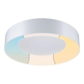 Paulmann 78947 - LED/23W IP44 Badrumstaklampa CASCA 230V