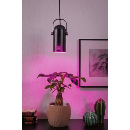 Paulmann 79766 - LAVEA pendel på vajer LED RGBW 1xE27/9W 230V svart