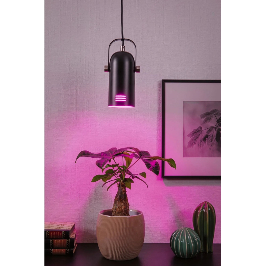 Paulmann 79766 - LAVEA pendel på vajer LED RGBW 1xE27/9W 230V svart