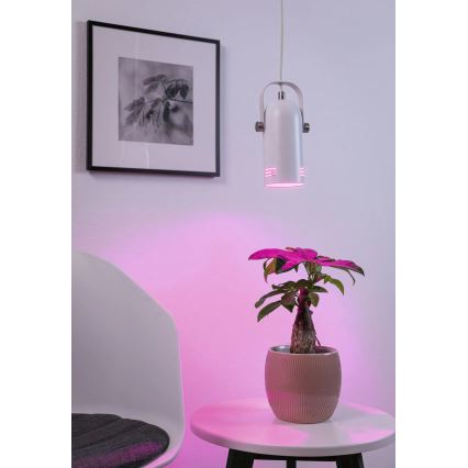 Paulmann 79767 - LED RGBW 1xE27/12W LAVEA pendel med vajer 230V vit