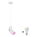 Paulmann 79767 - LED RGBW 1xE27/9W LAVEA pendel med vajer 230V vit