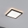 Paulmann 79920 - LED/11,2W dimbar panel ATRIA 230V 3000K 19x19 cm svart