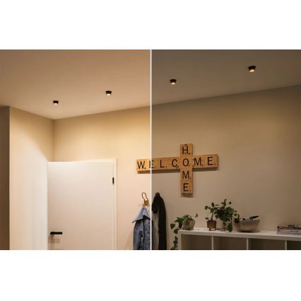 Paulmann 93379 - KIT 3xLED/6W IP44 Ljusreglerad hängande badrumslampa GIL 230V