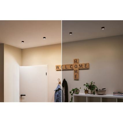 Paulmann 93383 - KIT 3xLED/6W IP44 Ljusreglerad hängande badrumslampa GIL 230V