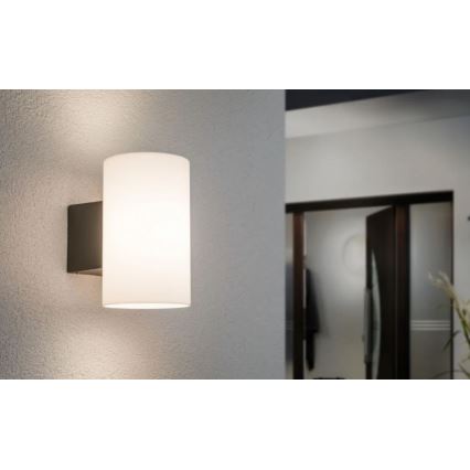 Paulmann 94186 - 1xE27/15W IP54 Vägglampa för utomhusbruk TUBE 230V