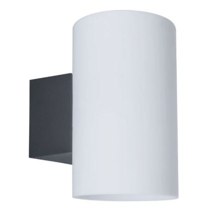 Paulmann 94186 - 1xE27/15W IP54 Vägglampa för utomhusbruk TUBE 230V