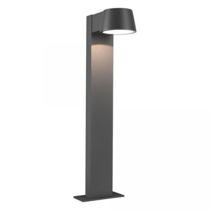 Paulmann 94454 - LED/6W IP44 Utomhuslampa CAPEA 230V