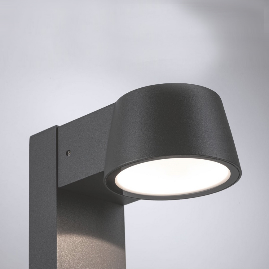 Paulmann 94454 - LED/6W IP44 Utomhuslampa CAPEA 230V