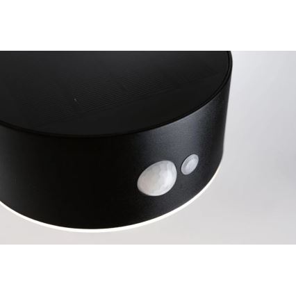 Paulmann 94570 - LED/5,5W IP44 Solcellsvägglampa med sensor EILEEN 3,7V 2000 mAh