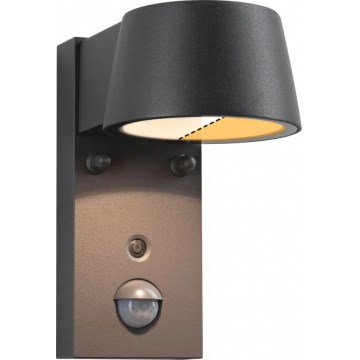 Paulmann 94714 - LED/6W IP44 Utomhus vägglampa med sensor CAPERA 230V 2200/3000K