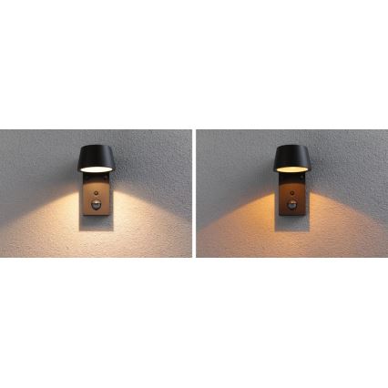 Paulmann 94714 - LED/6W IP44 Utomhus vägglampa med sensor CAPERA 230V 2200/3000K