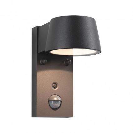 Paulmann 94714 - LED/6W IP44 Utomhus vägglampa med sensor CAPERA 230V 2200/3000K