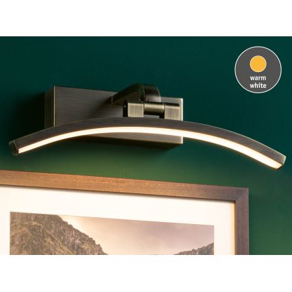 Paulmann 95559 - LED/6W Tavelbelysning BENTO 230V 30 cm mässing