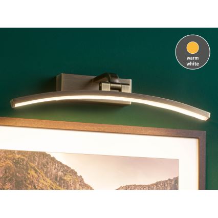 Paulmann 95560 - LED/8,5W Tavelampa BENTO 230V 40 cm mässing