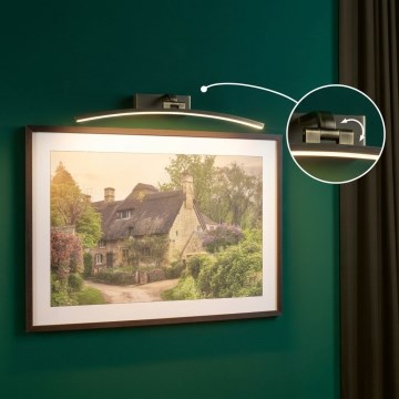 Paulmann 95561 - LED/10W tavelbelysning BENTO 230V 50 cm mässing