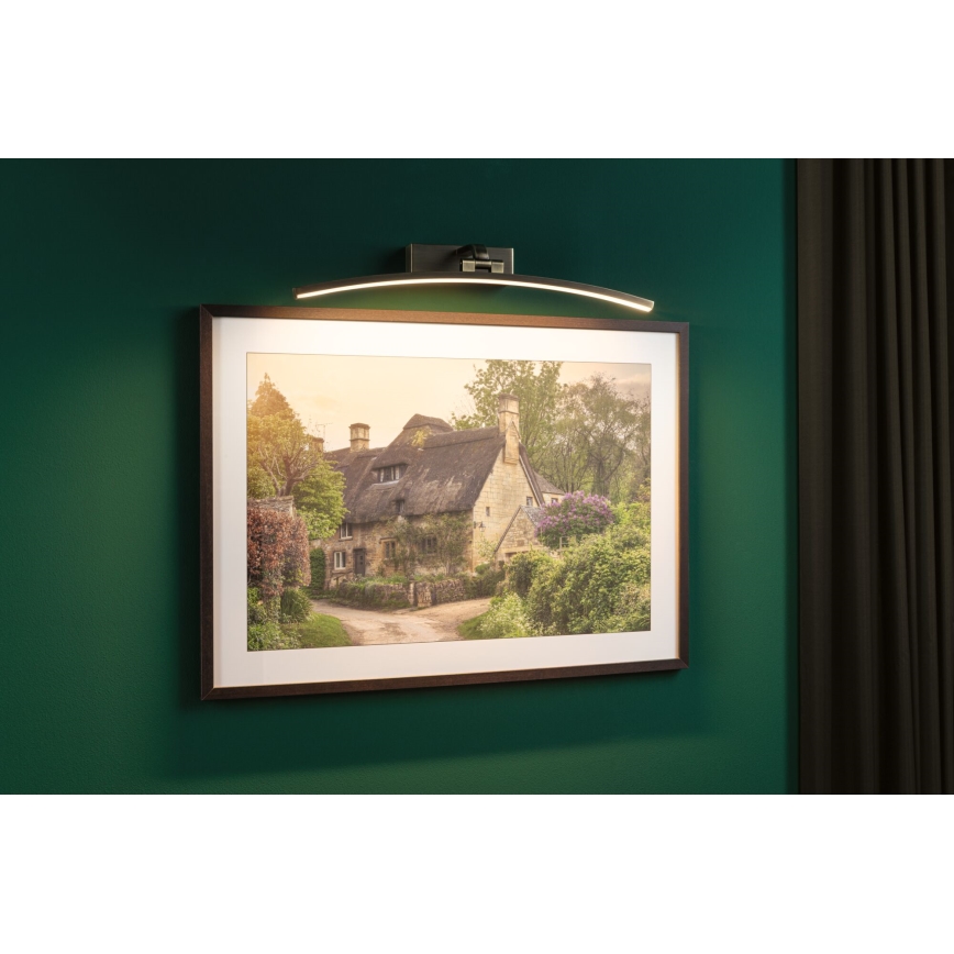 Paulmann 95561 - LED/10W tavelbelysning BENTO 230V 50 cm mässing