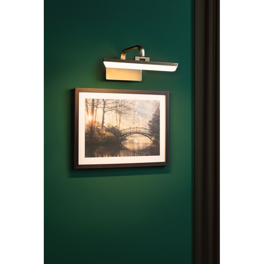 Paulmann 95568 - LED/6W Tavelbelysning RENAN 230V 30 cm mässing