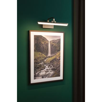 Paulmann 95569 - LED/9,5W Tavelampa RENAN 230V 40 cm mässing