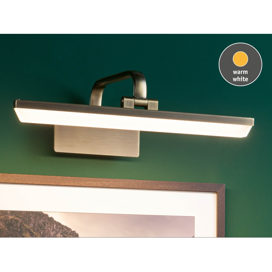 Paulmann 95569 - LED/9,5W Tavelampa RENAN 230V 40 cm mässing
