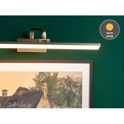 Paulmann 95570 - LED/11W Tavellampa RENAN 230V 60 cm mässing