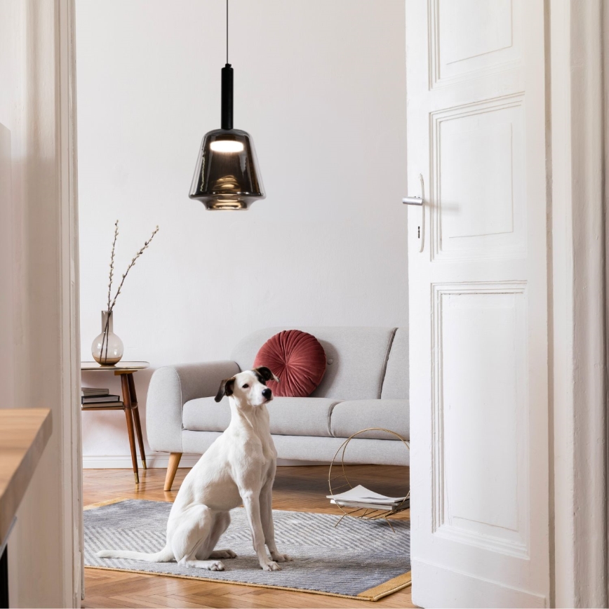 Pendel på kabel BUENO 1xGX53/9W/230V Ø 18 cm rökfärgad svart