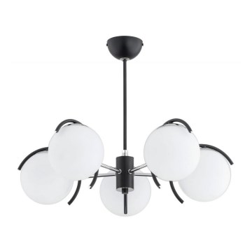 Pendelkrona AVISTA 5xE14/40W/230V